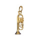 Anhänger kleine Konzerttrompete (Silber vergoldet)