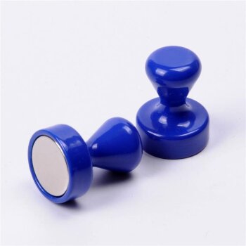 Mini Noten Magnet blau