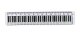 Lineal Tastatur (10-Stück-Packung)